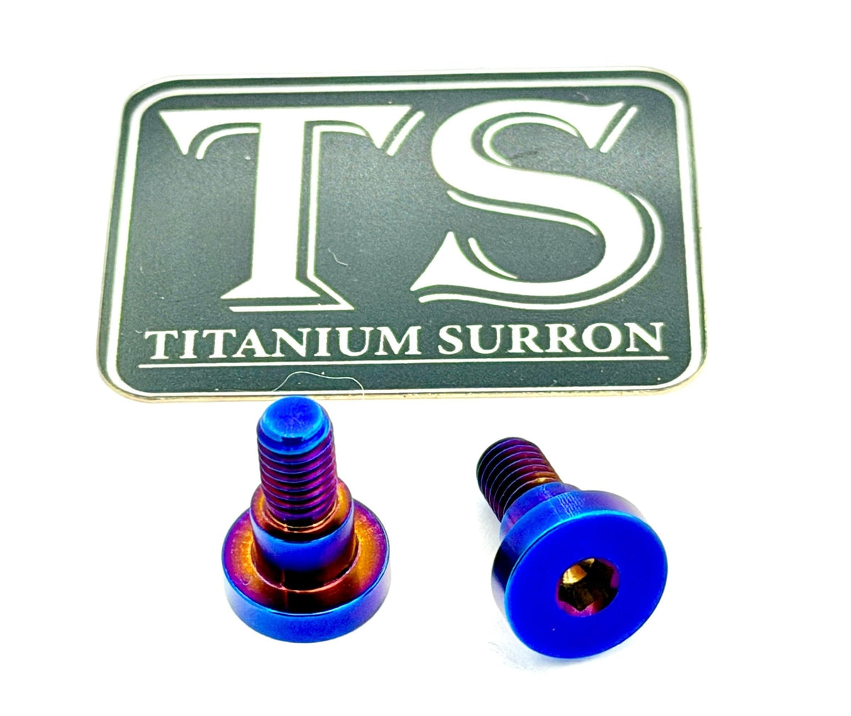 Titanium Battery Lid Bolts - E-Ride Pro - (Two Pcs)