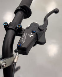 Titanium brake reservoir bolts