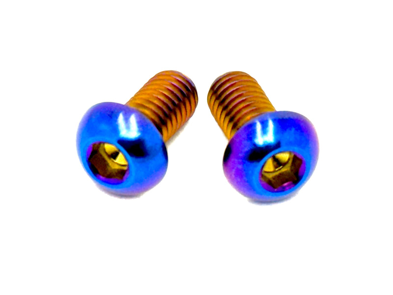 Titanium M6 Ignition Cover Bolts (Set of 2)
