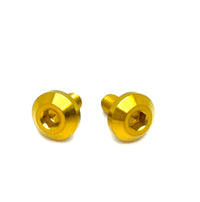 Titanium Chain Guard Bolts (2 pcs) — Surron & Segway