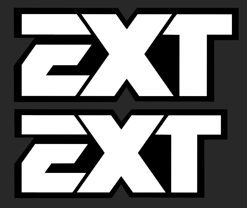 EXT fork tube Decals