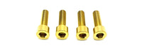 Titanium Axle Pinch Bolts for FastAce 2.0 ALX13RC and E-Ride Pro 2.0 OEM RST Forks