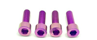 Titanium Axle Pinch Bolts for FastAce 2.0 ALX13RC and E-Ride Pro 2.0 OEM RST Forks