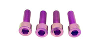 Titanium Axle Pinch Bolts for E-moto Forks