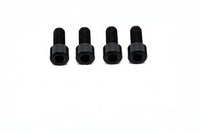 Titanium Peg Bracket Bolts - E-moto