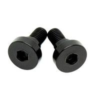 Titanium Battery Lid Bolts - E-Ride Pro -  (Two Pcs)