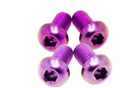 Titanium Controller Mount Bolts for E-moto