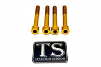 Titanium Stem Bolt Kit Altis Sigma (4 pcs)